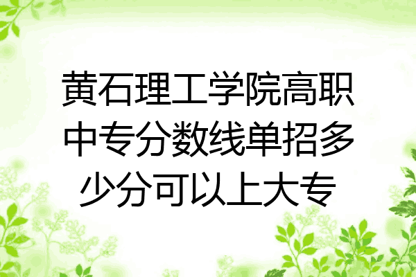 黄石理工学院高职中专分数线单招多少分可以上大专