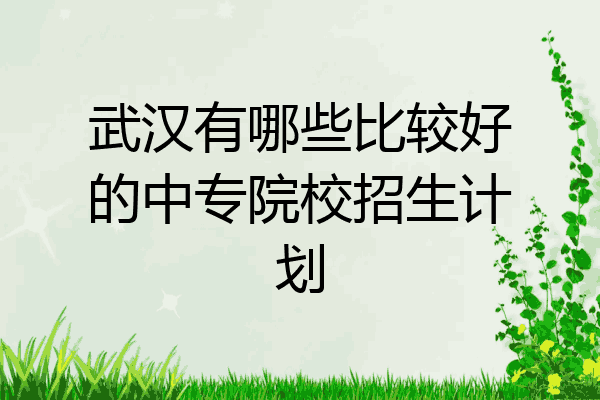 武汉有哪些比较好的中专院校招生计划