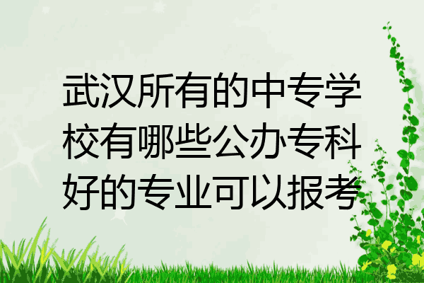 武汉所有的中专学校有哪些公办专科好的专业可以报考