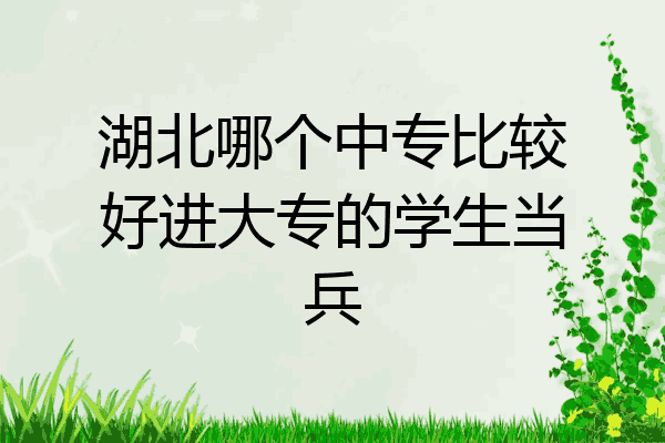 湖北哪个中专比较好进大专的学生当兵