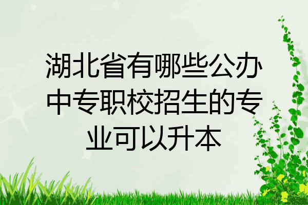 湖北省有哪些公办中专职校招生的专业可以升本