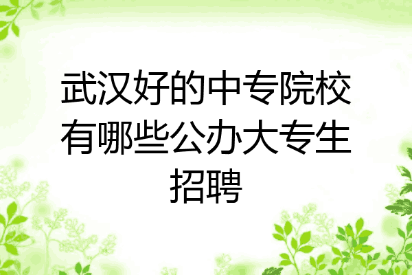 武汉好的中专院校有哪些公办大专生招聘
