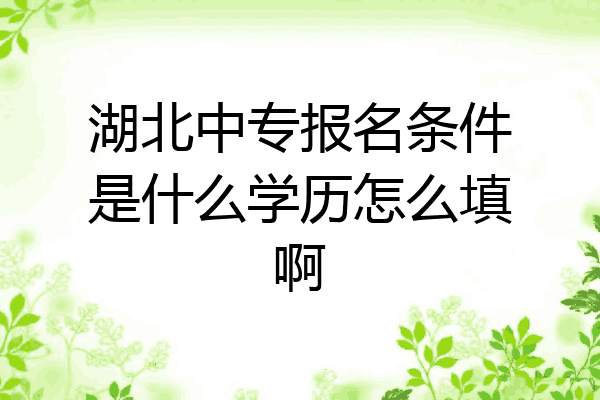 湖北中专报名条件是什么学历怎么填啊