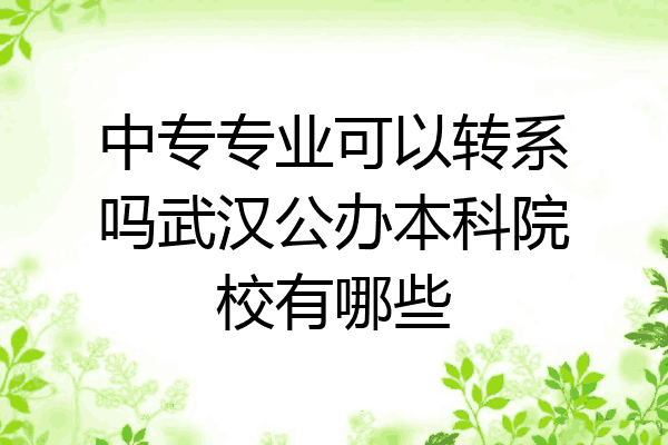 中专专业可以转系吗武汉公办本科院校有哪些