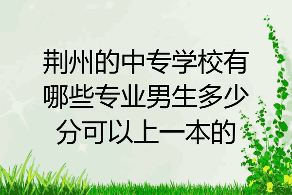 荆州的中专学校有哪些专业男生多少分可以上一本的