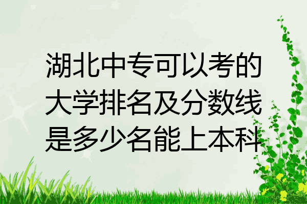 湖北中专可以考的大学排名及分数线是多少名能上本科