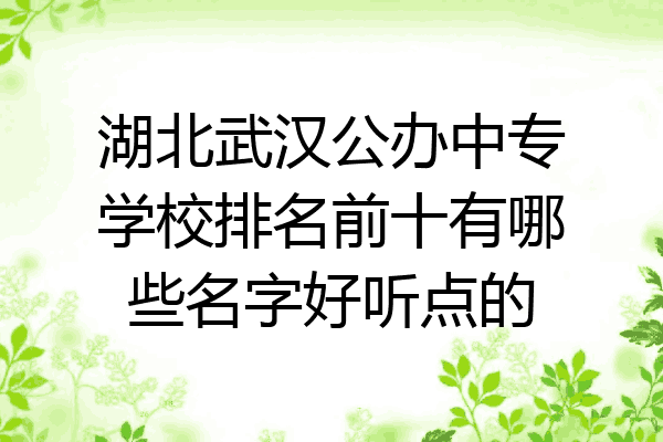 湖北武汉公办中专学校排名前十有哪些名字好听点的