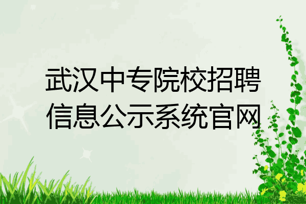 武汉中专院校招聘信息公示系统官网