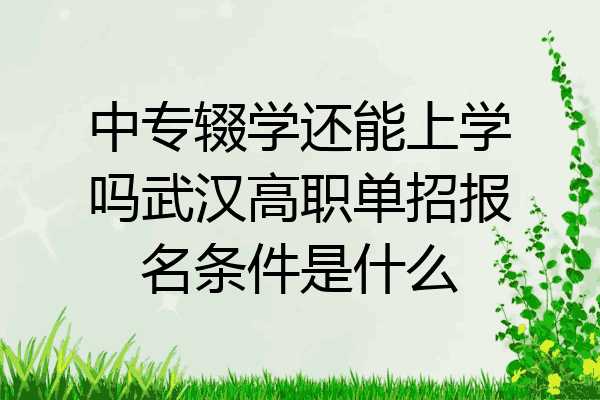 中专辍学还能上学吗武汉高职单招报名条件是什么