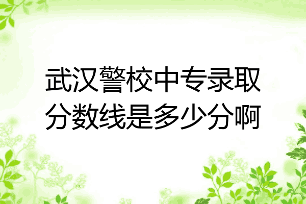 武汉警校中专录取分数线是多少分啊
