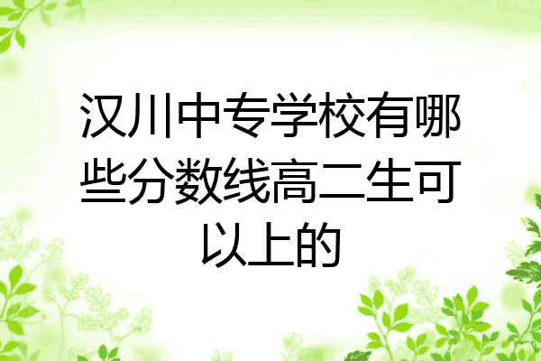 汉川中专学校有哪些分数线高二生可以上的