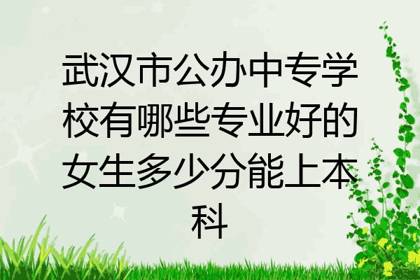 武汉市公办中专学校有哪些专业好的女生多少分能上本科