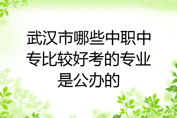 武汉市哪些中职中专比较好考的专业是公办的