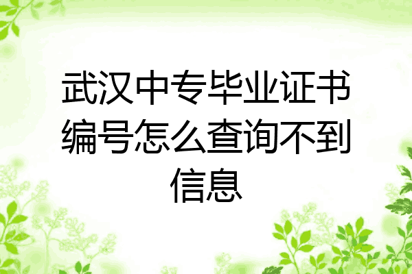 武汉中专毕业证书编号怎么查询不到信息