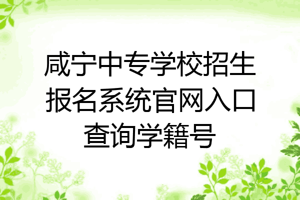 咸宁中专学校招生报名系统官网入口查询学籍号