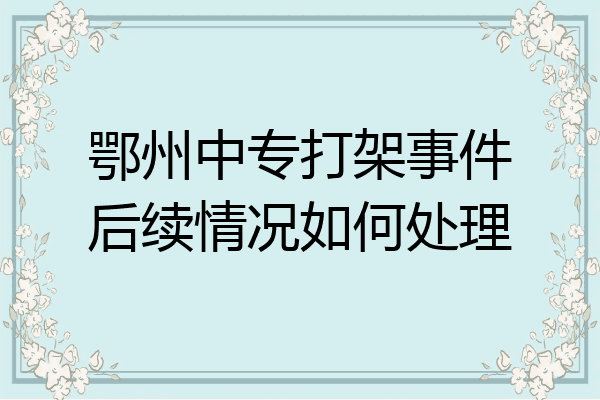 鄂州中专打架事件后续情况如何处理