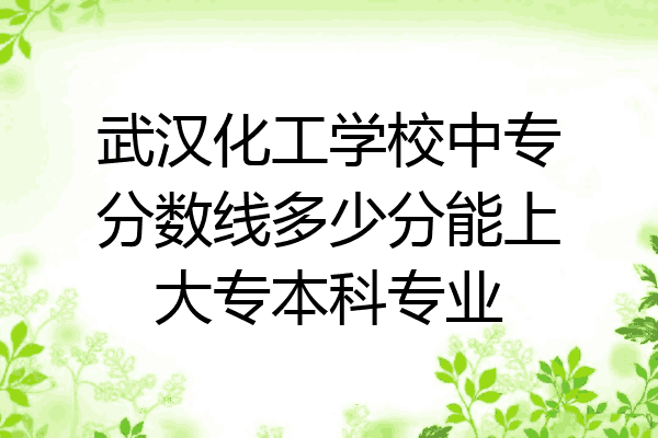 武汉化工学校中专分数线多少分能上大专本科专业