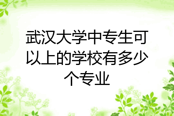 武汉大学中专生可以上的学校有多少个专业