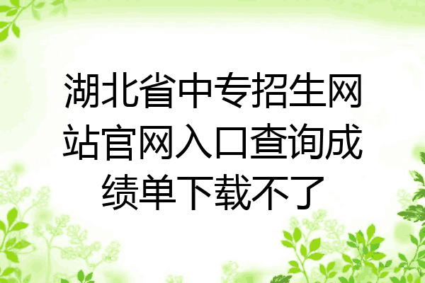 湖北省中专招生网站官网入口查询成绩单下载不了