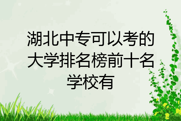 湖北中专可以考的大学排名榜前十名学校有