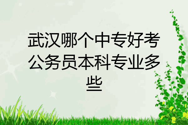 武汉哪个中专好考公务员本科专业多些