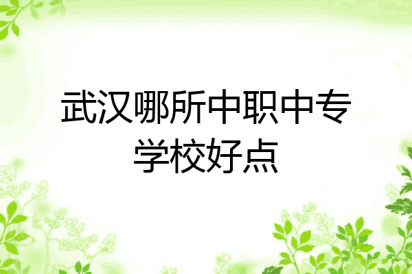武汉哪所中职中专学校好点