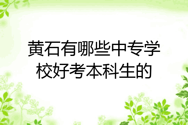 黄石有哪些中专学校好考本科生的