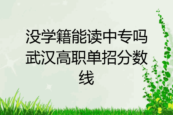 没学籍能读中专吗武汉高职单招分数线