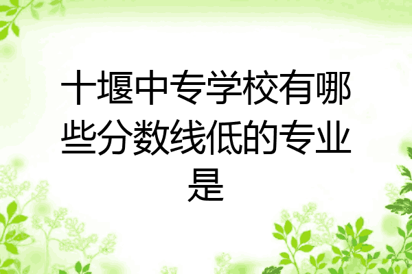 十堰中专学校有哪些分数线低的专业是