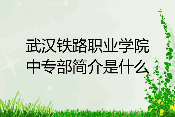 武汉铁路职业学院中专部简介是什么