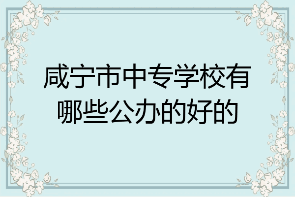 咸宁市中专学校有哪些公办的好的