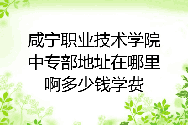 咸宁职业技术学院中专部地址在哪里啊多少钱学费