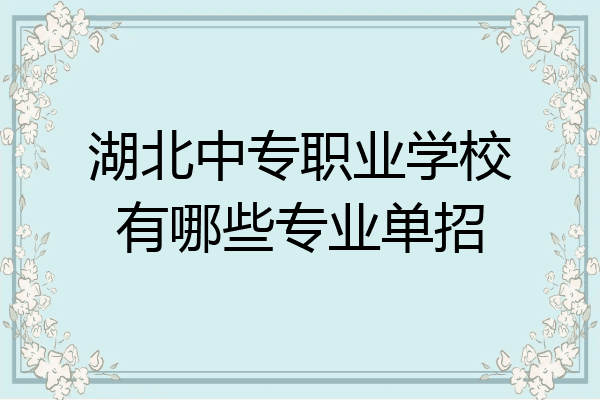 湖北中专职业学校有哪些专业单招