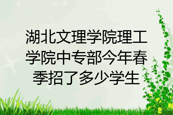 湖北文理学院理工学院中专部今年春季招了多少学生