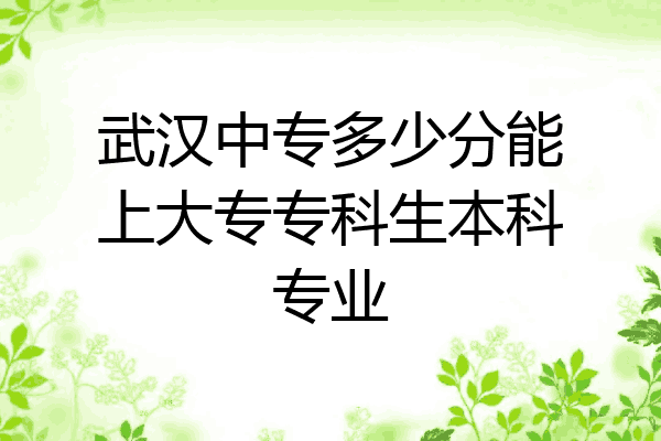 武汉中专多少分能上大专专科生本科专业