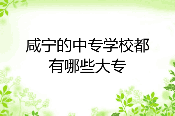 咸宁的中专学校都有哪些大专
