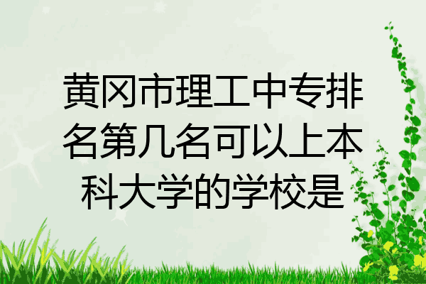 黄冈市理工中专排名第几名可以上本科大学的学校是