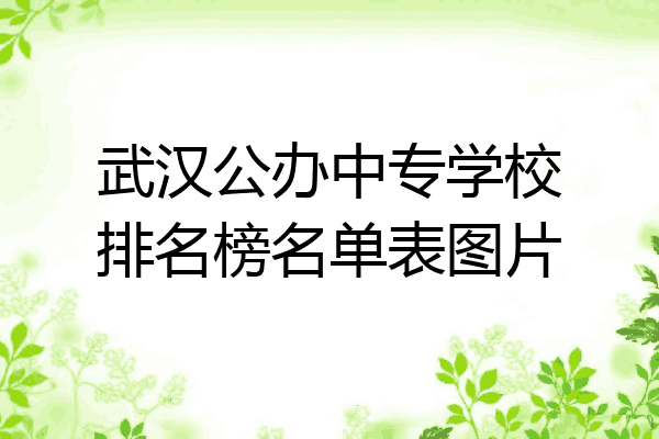 武汉公办中专学校排名榜名单表图片