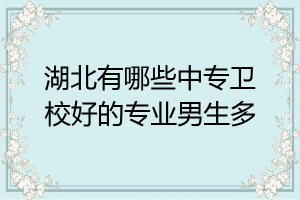 湖北有哪些中专卫校好的专业男生多