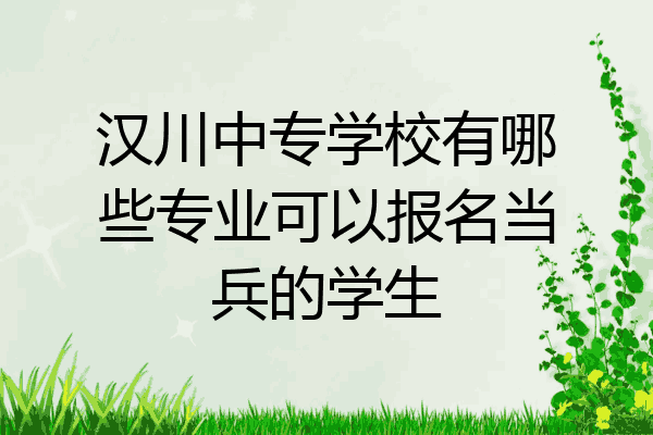 汉川中专学校有哪些专业可以报名当兵的学生