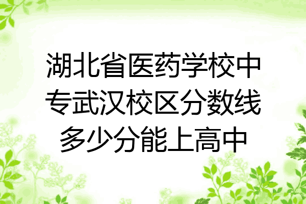 湖北省医药学校中专武汉校区分数线多少分能上高中