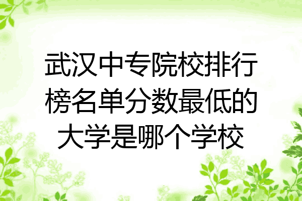 武汉中专院校排行榜名单分数最低的大学是哪个学校