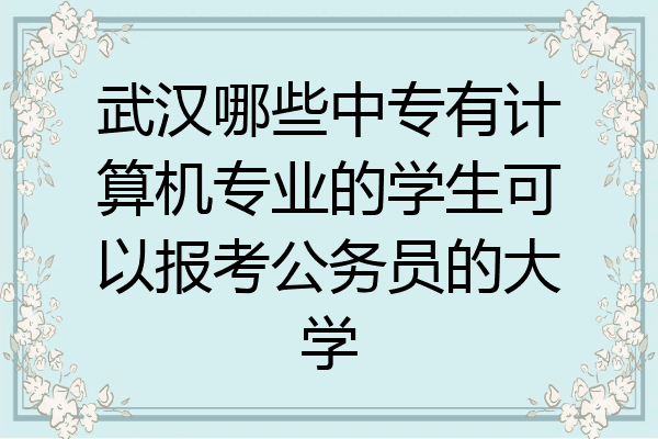 武汉哪些中专有计算机专业的学生可以报考公务员的大学