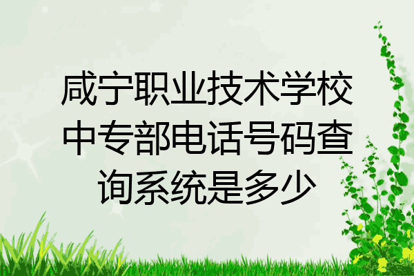 咸宁职业技术学校中专部电话号码查询系统是多少