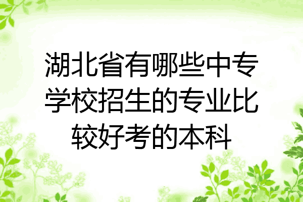 湖北省有哪些中专学校招生的专业比较好考的本科