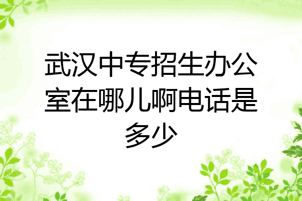 武汉中专招生办公室在哪儿啊电话是多少