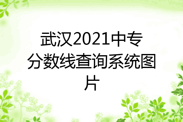 武汉2021中专分数线查询系统图片