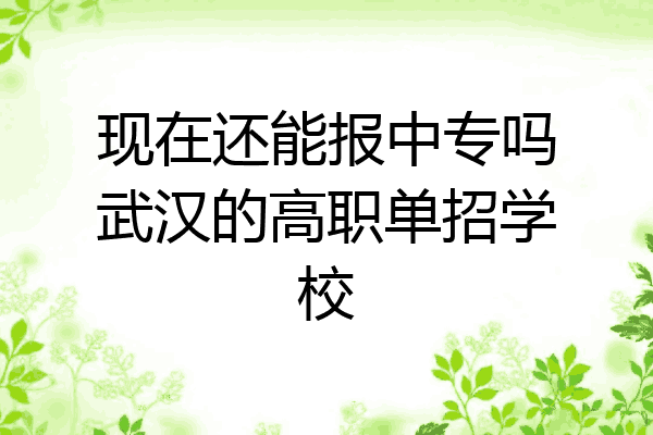 现在还能报中专吗武汉的高职单招学校