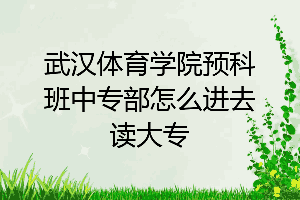 武汉体育学院预科班中专部怎么进去读大专