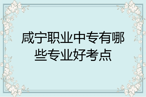 咸宁职业中专有哪些专业好考点